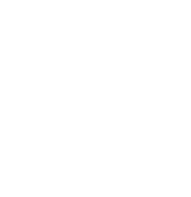Rebuild Bird Icon White